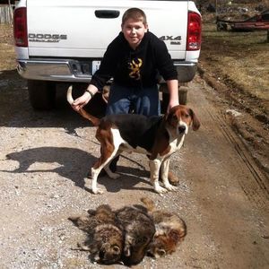 Meet your Posher, Dakota